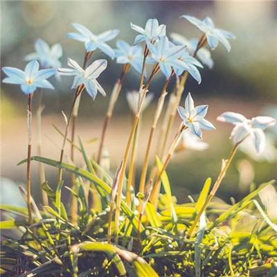 皇冠正规娱乐平台手机app下载